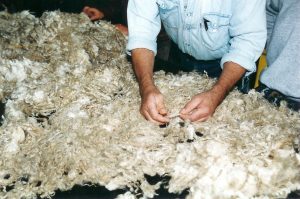 09.le tri du mohair